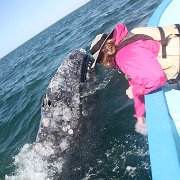 IMG 0001 2 (296)